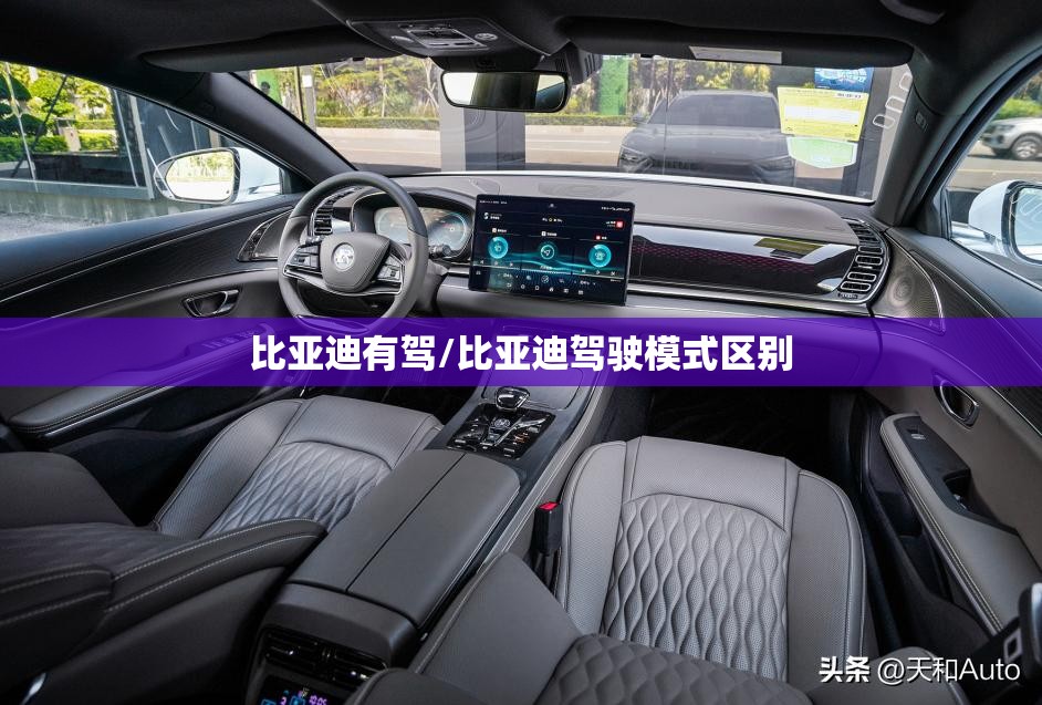 比亚迪有驾/比亚迪驾驶模式区别