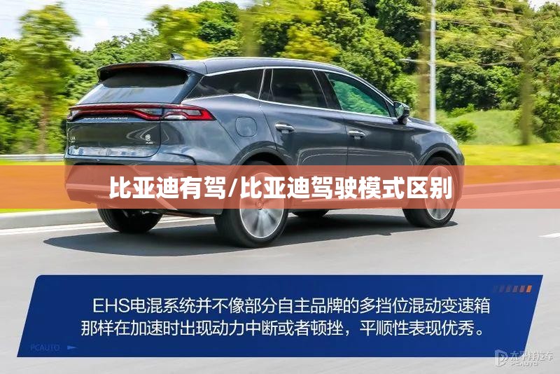 比亚迪有驾/比亚迪驾驶模式区别