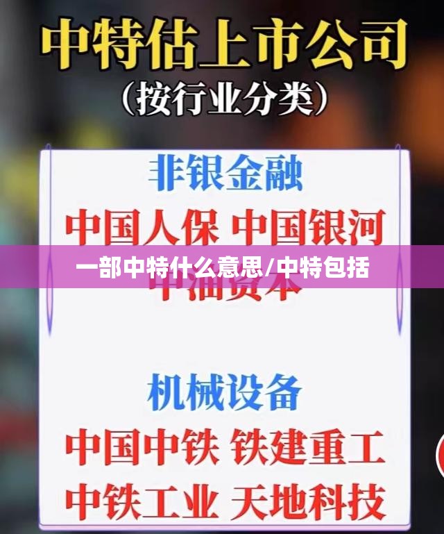 一部中特什么意思/中特包括