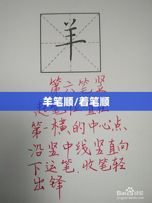 羊笔顺/着笔顺