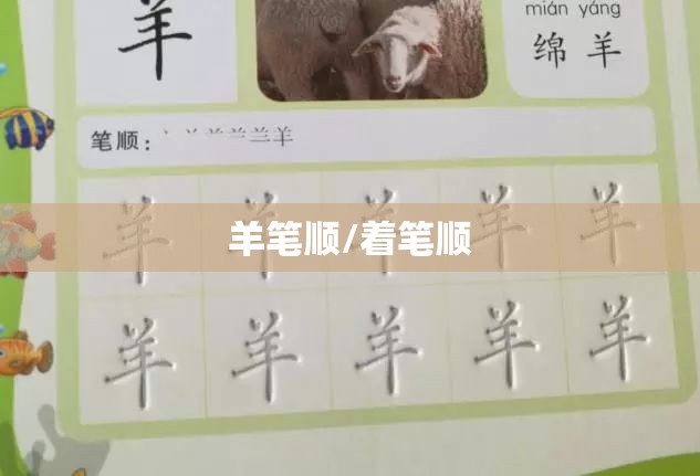 羊笔顺/着笔顺
