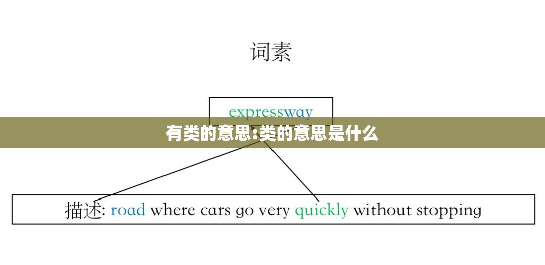 有类的意思:类的意思是什么