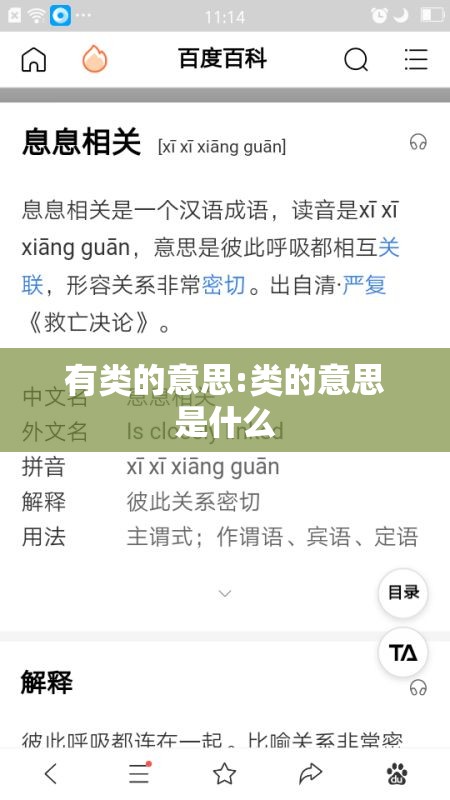有类的意思:类的意思是什么