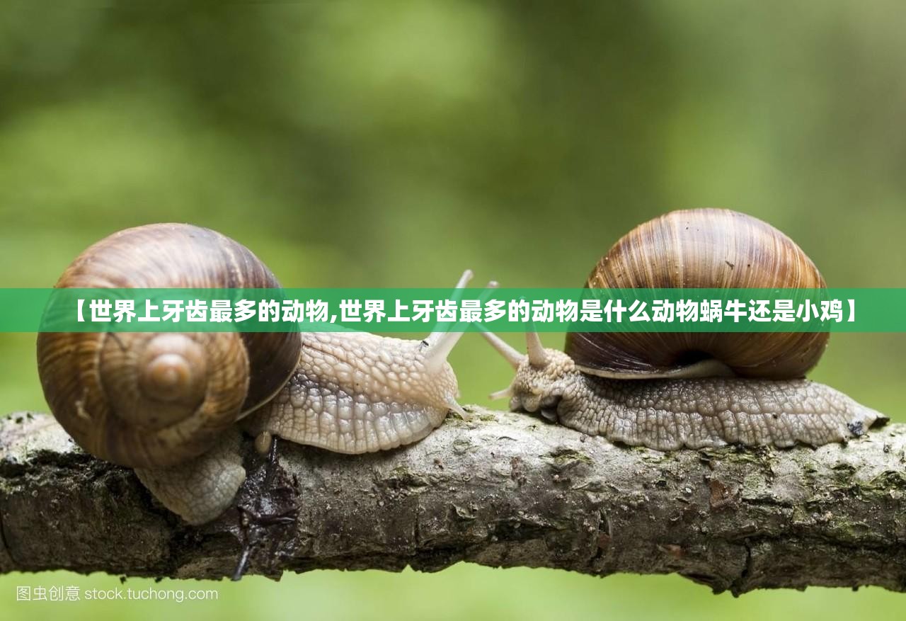 【世界上牙齿最多的动物,世界上牙齿最多的动物是什么动物蜗牛还是小鸡】