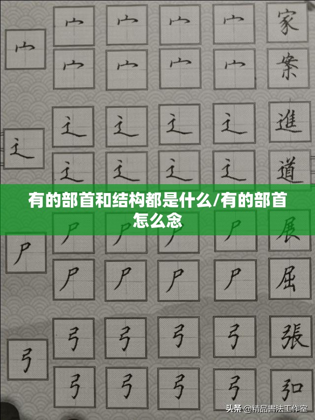 有的部首和结构都是什么/有的部首怎么念
