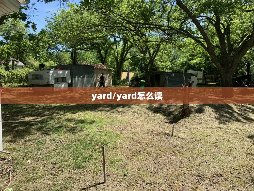 yard/yard怎么读