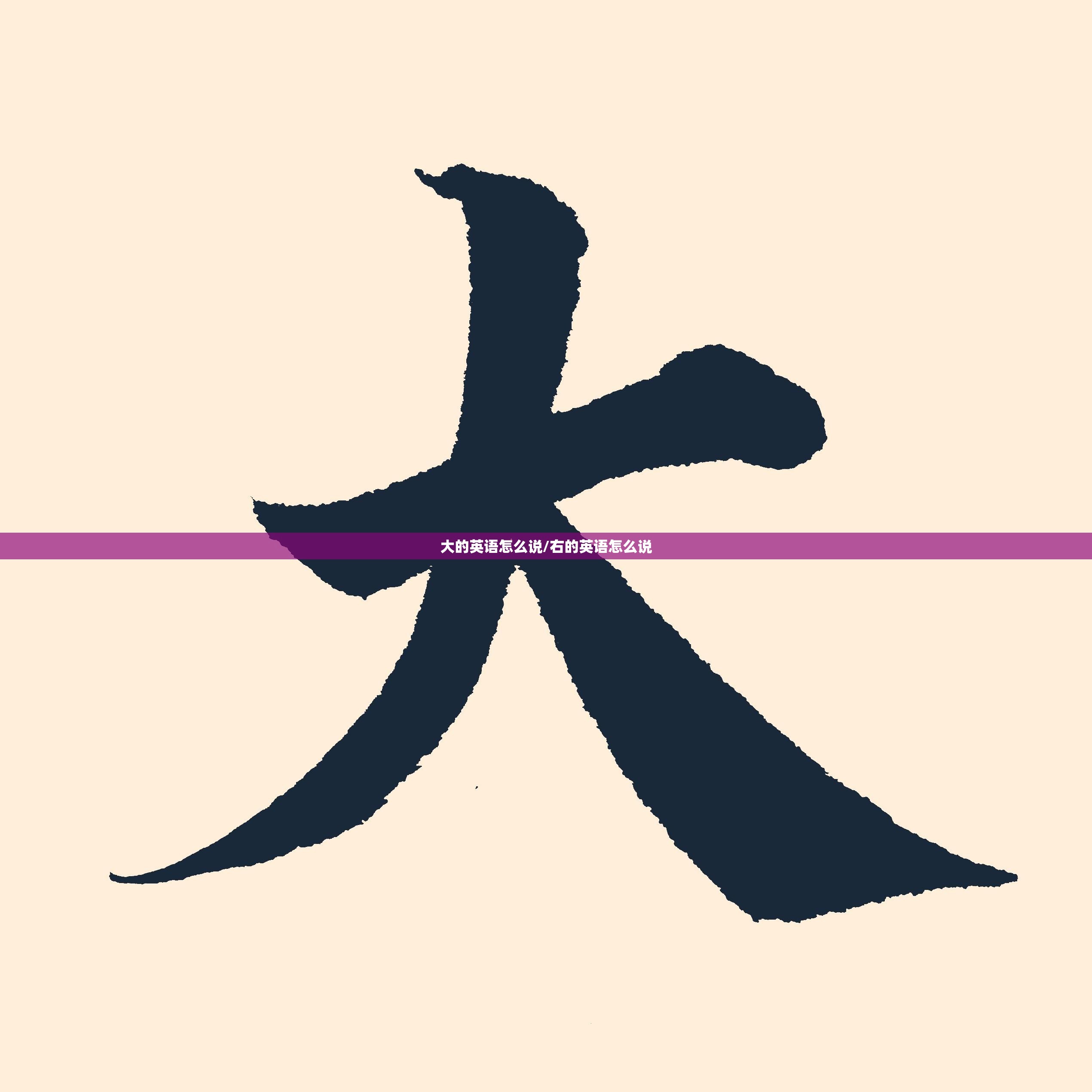 大的英语怎么说/右的英语怎么说