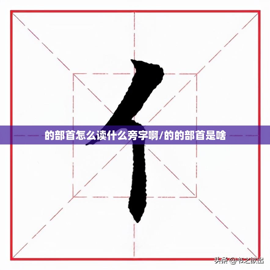 的部首怎么读什么旁字啊/的的部首是啥