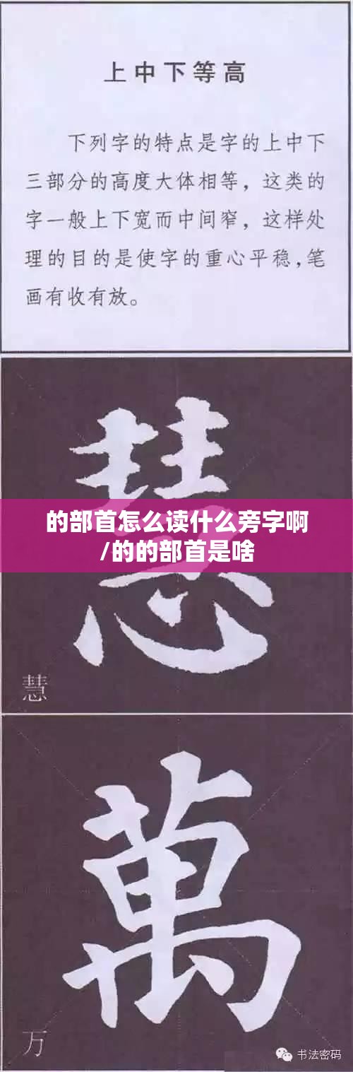 的部首怎么读什么旁字啊/的的部首是啥