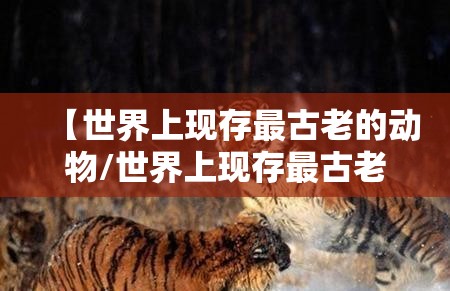 【世界上现存最古老的动物/世界上现存最古老的动物是什么】