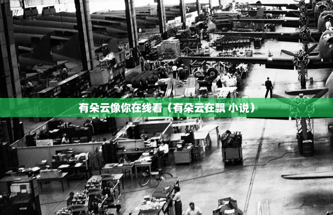 有朵云像你在线看（有朵云在飘 小说）