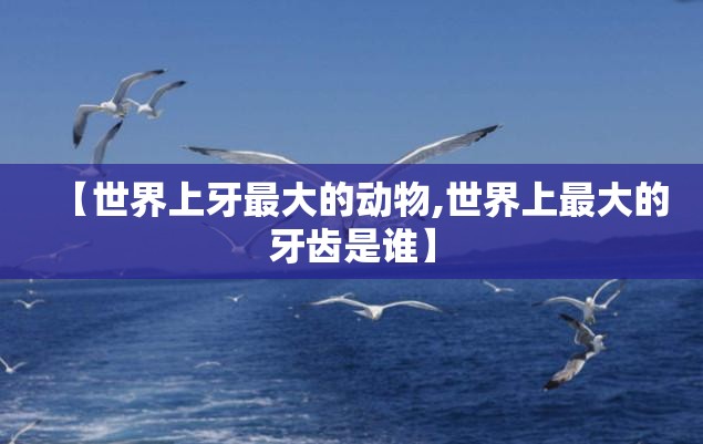 【世界上牙最大的动物,世界上最大的牙齿是谁】