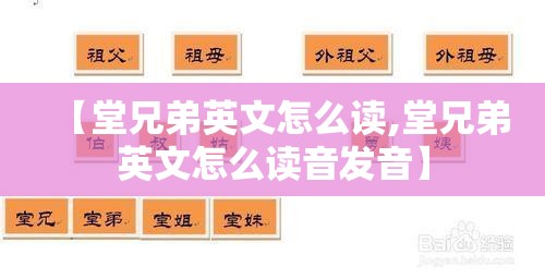 【堂兄弟英文怎么读,堂兄弟英文怎么读音发音】
