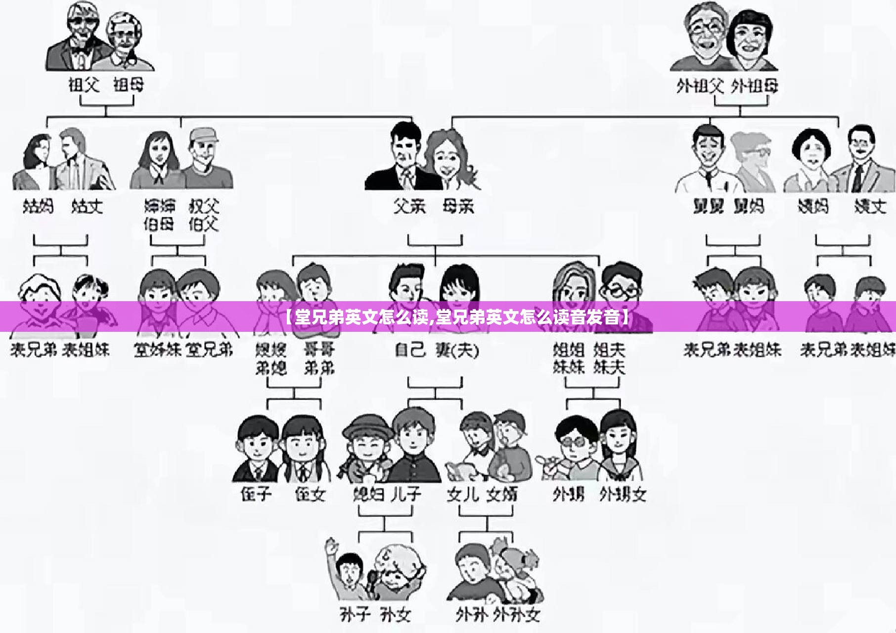 【堂兄弟英文怎么读,堂兄弟英文怎么读音发音】