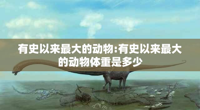 有史以来最大的动物:有史以来最大的动物体重是多少