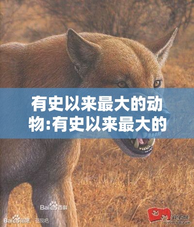 有史以来最大的动物:有史以来最大的动物体重是多少