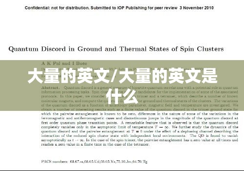 大量的英文/大量的英文是什么