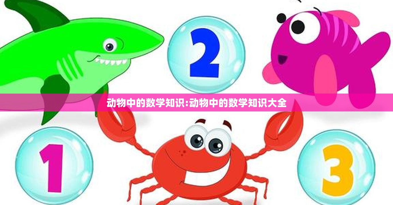 动物中的数学知识:动物中的数学知识大全