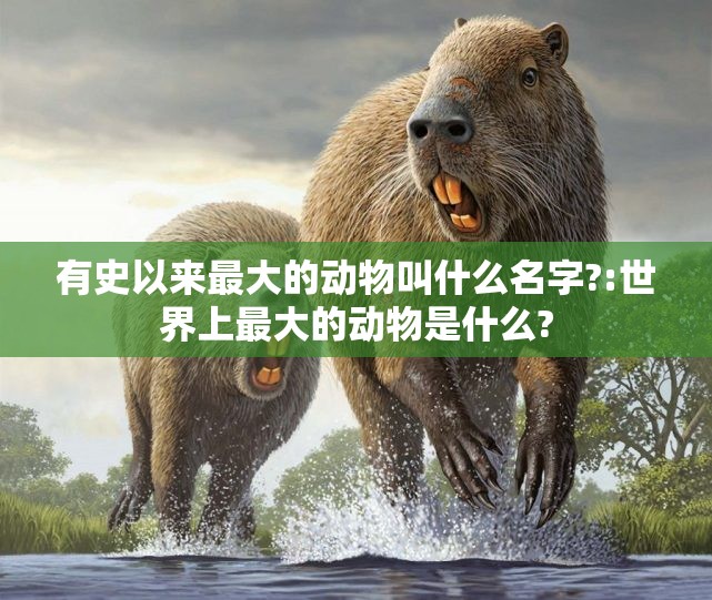 有史以来最大的动物叫什么名字?:世界上最大的动物是什么?