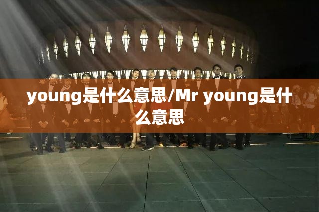 young是什么意思/Mr young是什么意思