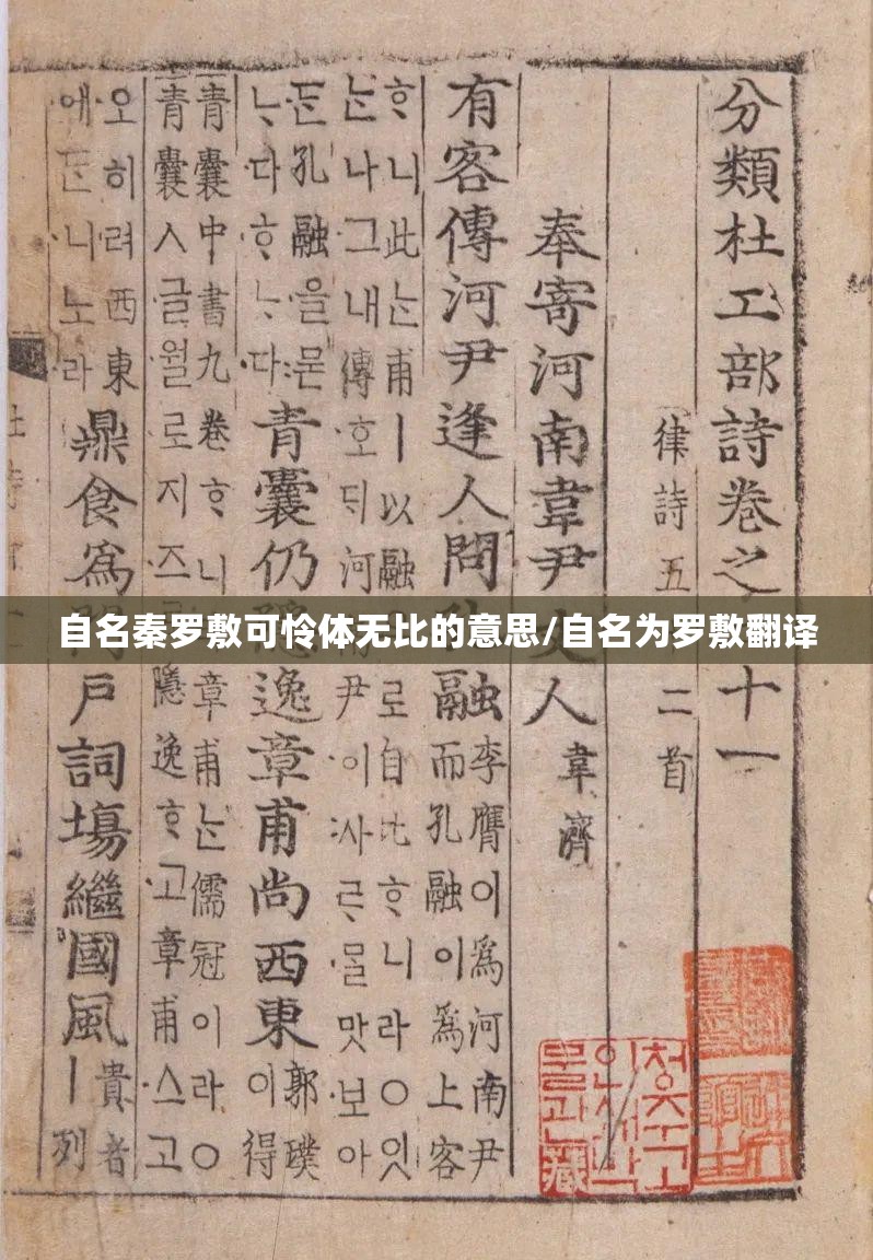 自名秦罗敷可怜体无比的意思/自名为罗敷翻译