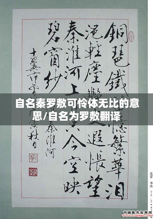 自名秦罗敷可怜体无比的意思/自名为罗敷翻译