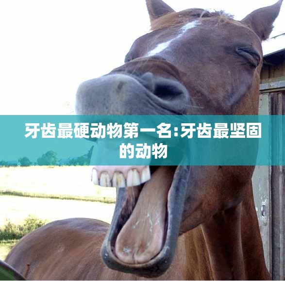 牙齿最硬动物第一名:牙齿最坚固的动物