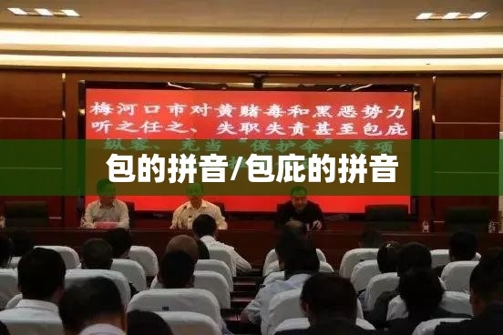 包的拼音/包庇的拼音