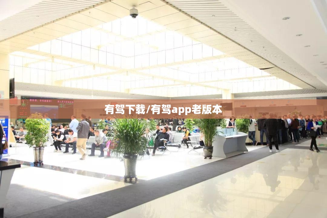 有驾下载/有驾app老版本
