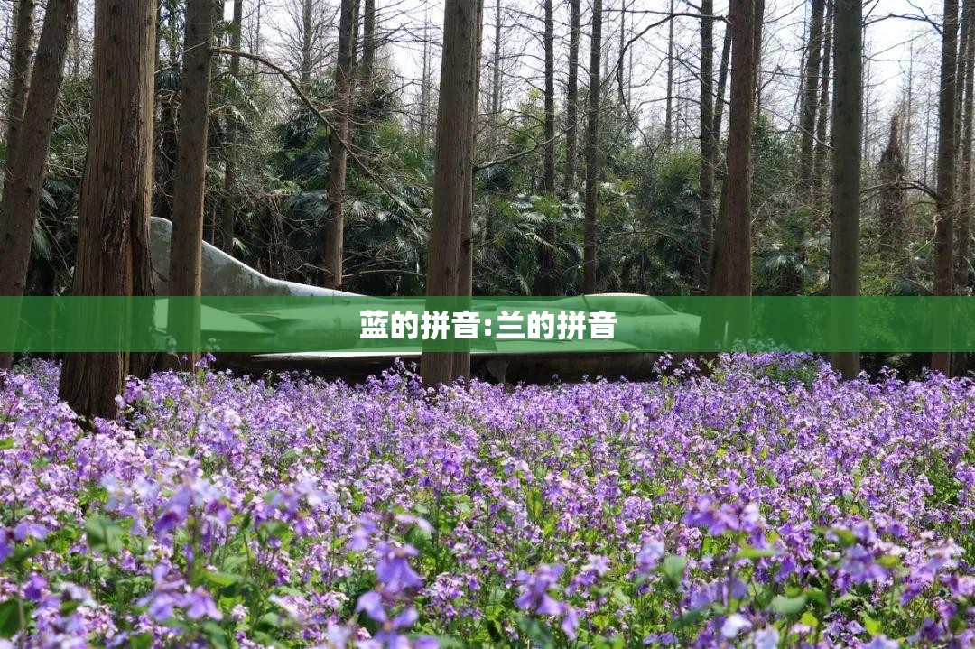 蓝的拼音:兰的拼音
