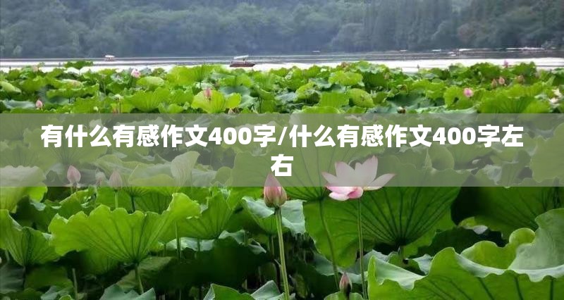 有什么有感作文400字/什么有感作文400字左右