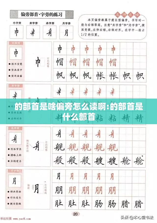 的部首是啥偏旁怎么读啊:的部首是什么部首