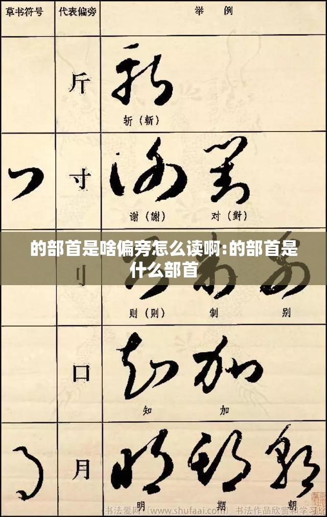 的部首是啥偏旁怎么读啊:的部首是什么部首