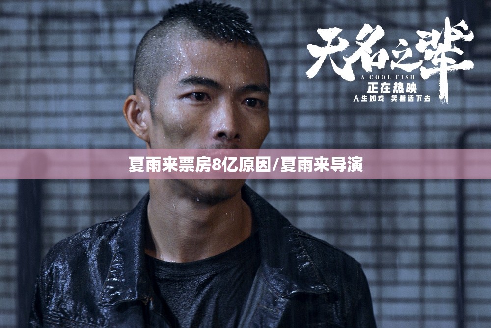 夏雨来票房8亿原因/夏雨来导演
