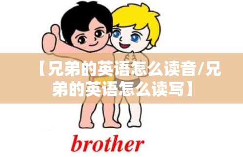 【兄弟的英语怎么读音/兄弟的英语怎么读写】
