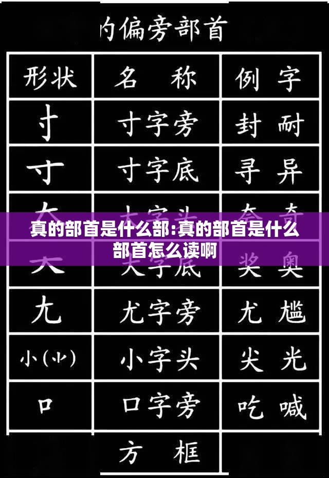 真的部首是什么部:真的部首是什么部首怎么读啊