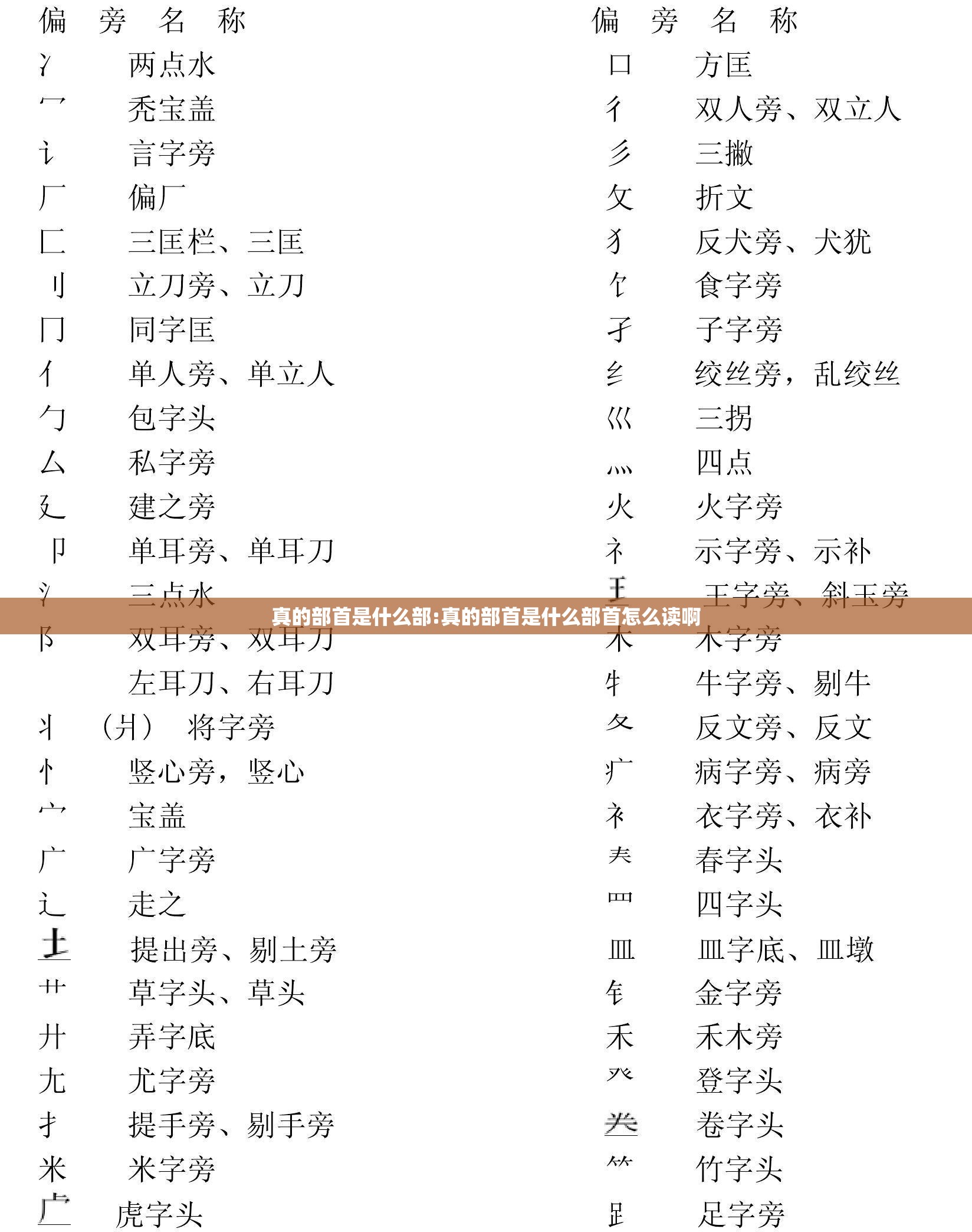真的部首是什么部:真的部首是什么部首怎么读啊