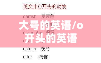 大号的英语/o开头的英语