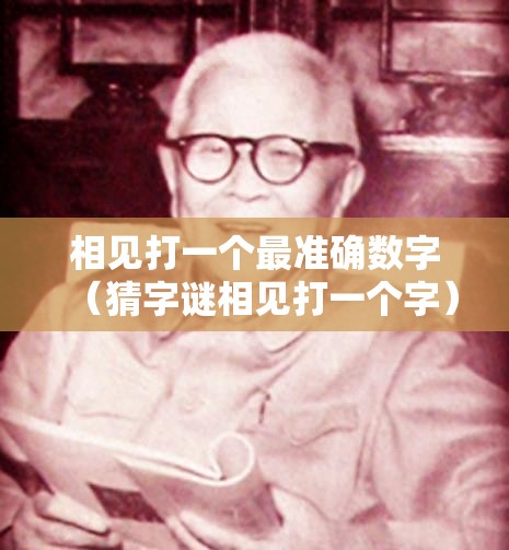 相见打一个最准确数字（猜字谜相见打一个字）