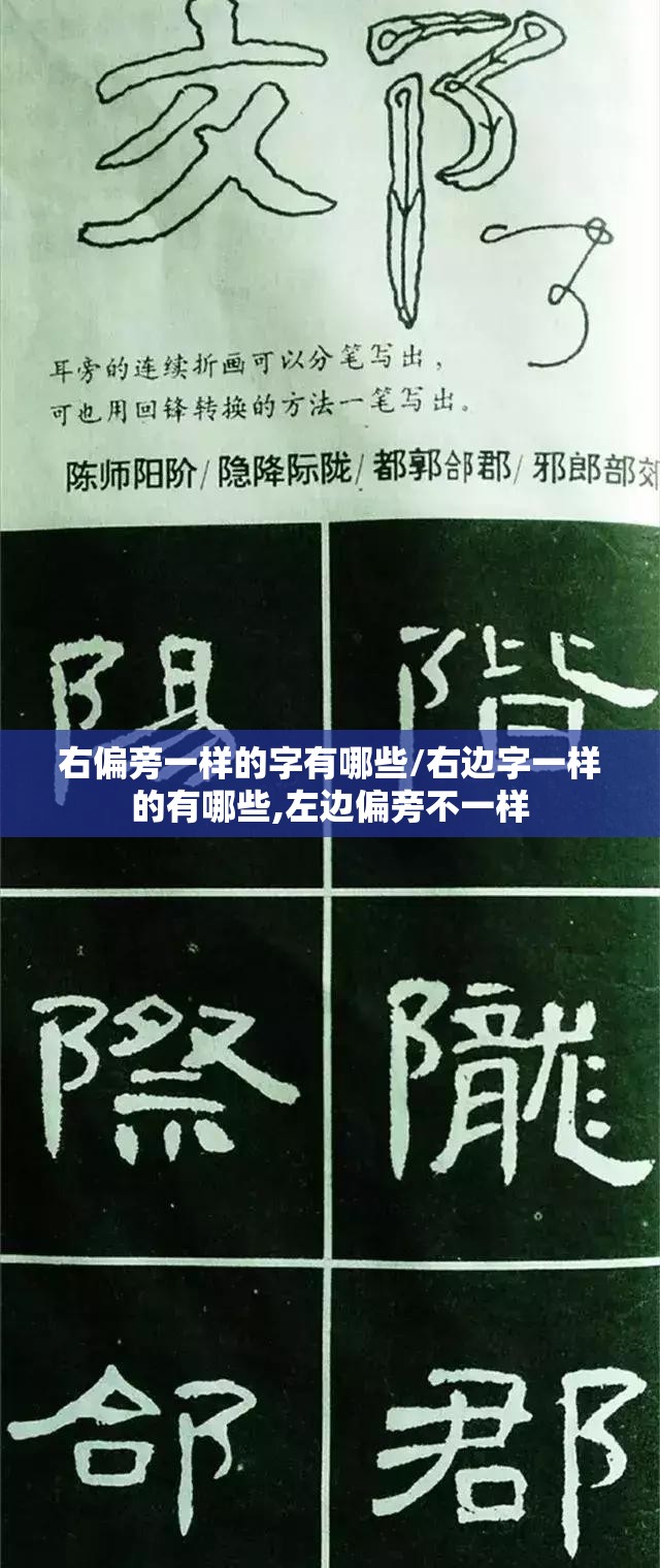 右偏旁一样的字有哪些/右边字一样的有哪些,左边偏旁不一样
