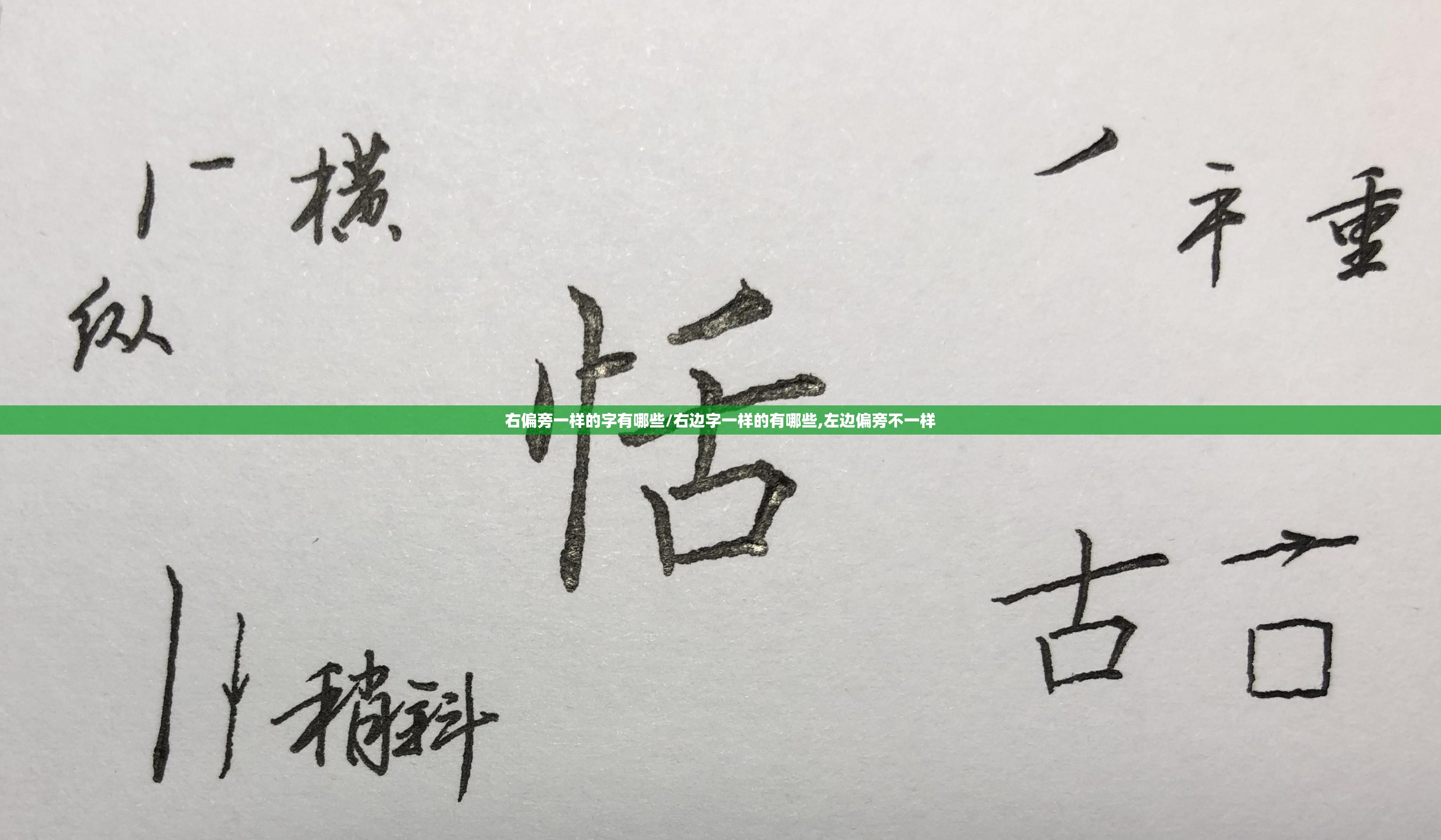 右偏旁一样的字有哪些/右边字一样的有哪些,左边偏旁不一样
