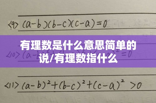 有理数是什么意思简单的说/有理数指什么