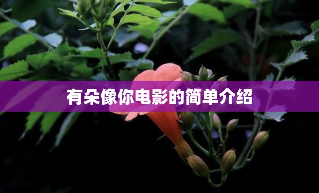 有朵像你电影的简单介绍