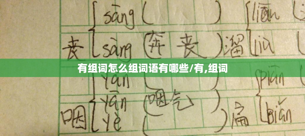 有组词怎么组词语有哪些/有,组词