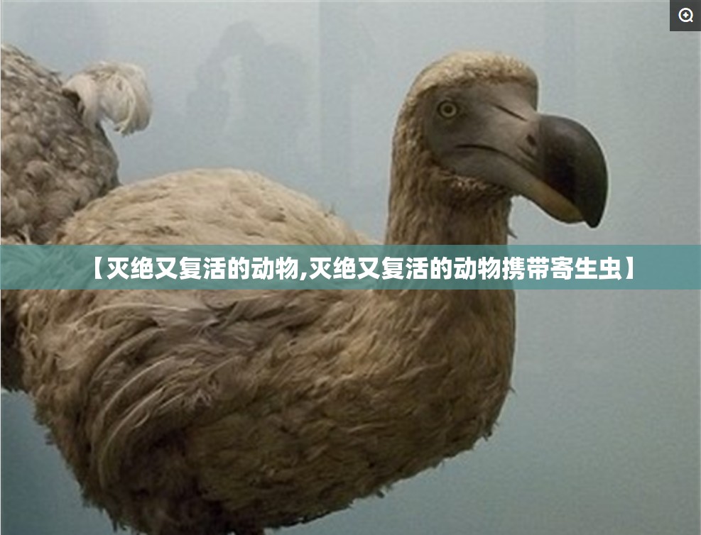 【灭绝又复活的动物,灭绝又复活的动物携带寄生虫】