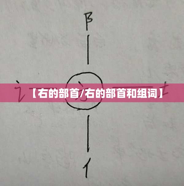 【右的部首/右的部首和组词】