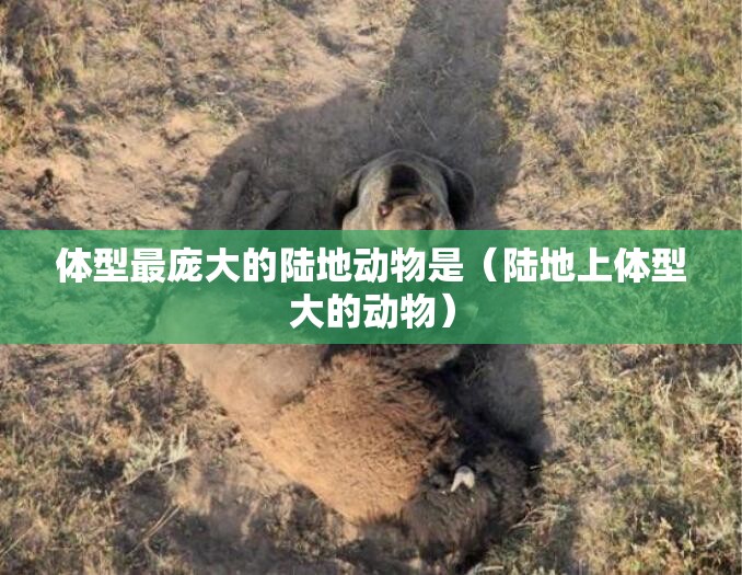 体型最庞大的陆地动物是（陆地上体型大的动物）