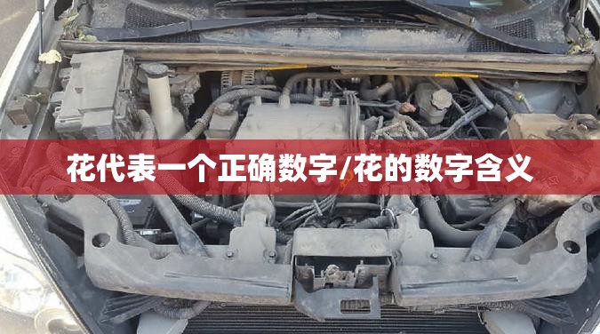 花代表一个正确数字/花的数字含义
