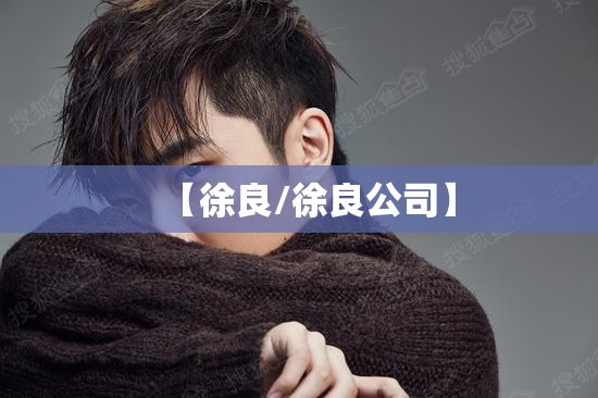 【徐良/徐良公司】