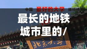 最长的地铁城市里的/地铁最长城市排名